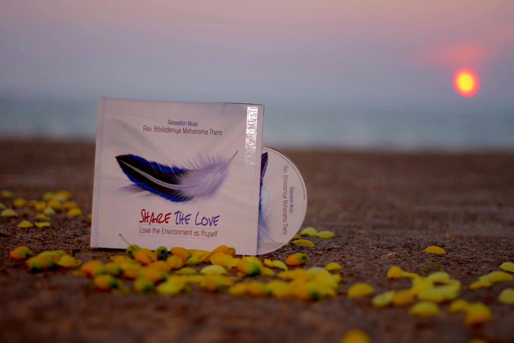 Share The Love Album - Photoshoot 4