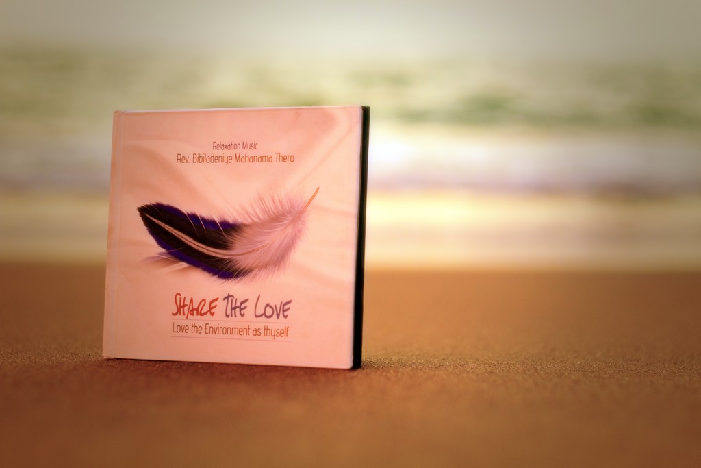 Share The Love Album - Photoshoot 5